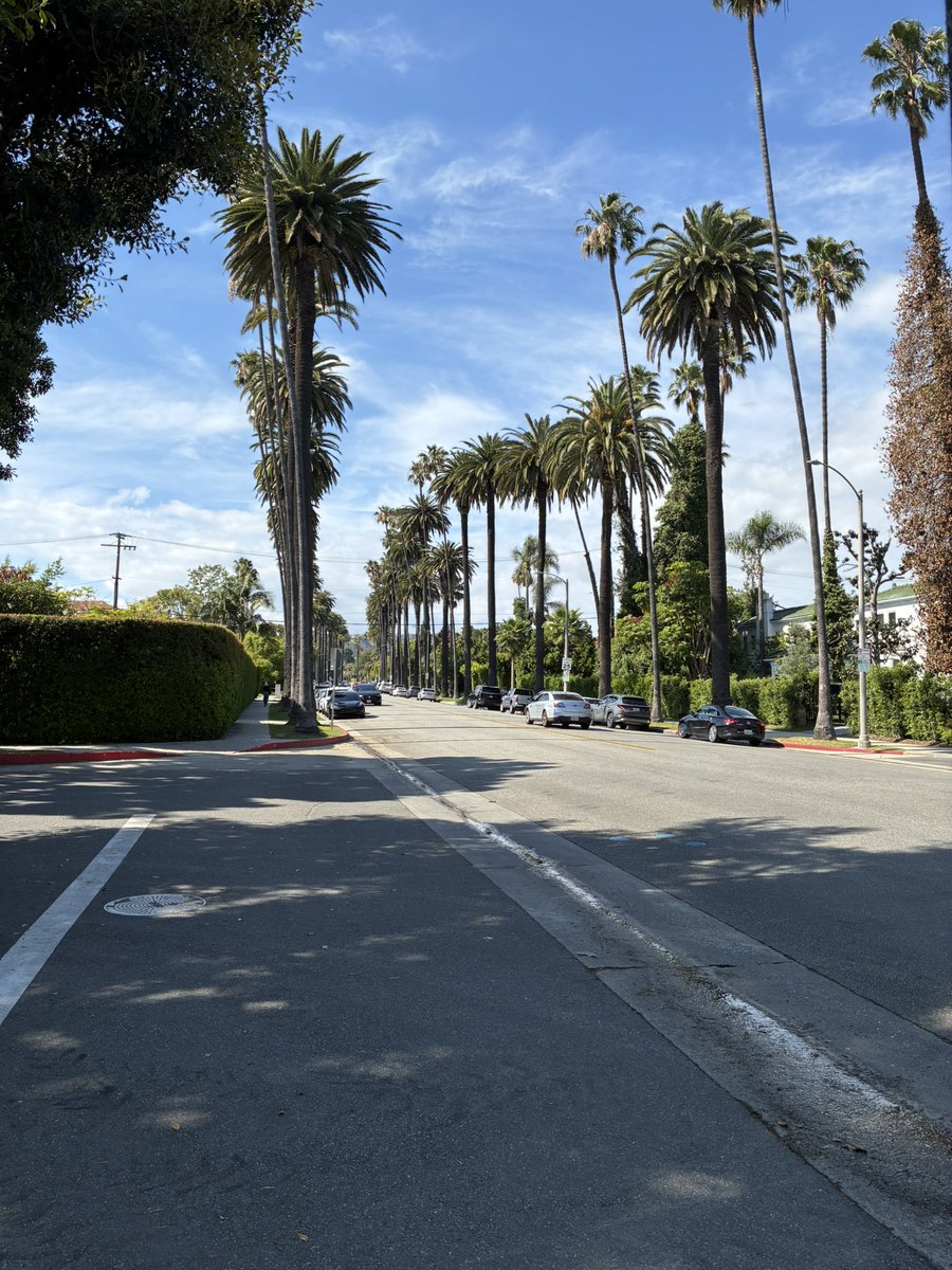 Clint Neale tweet media