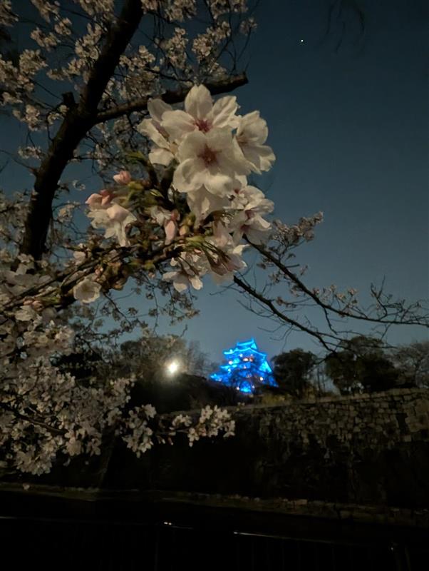 アイワンファクトリー tweet media