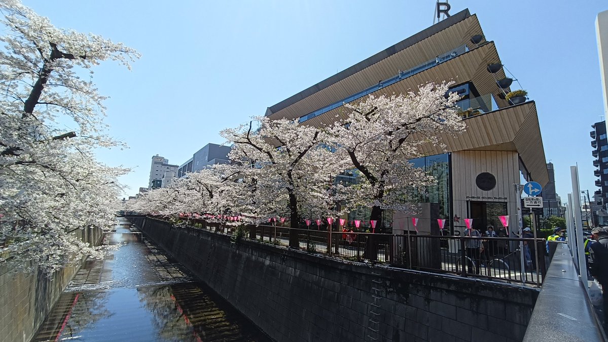 はかせ tweet media