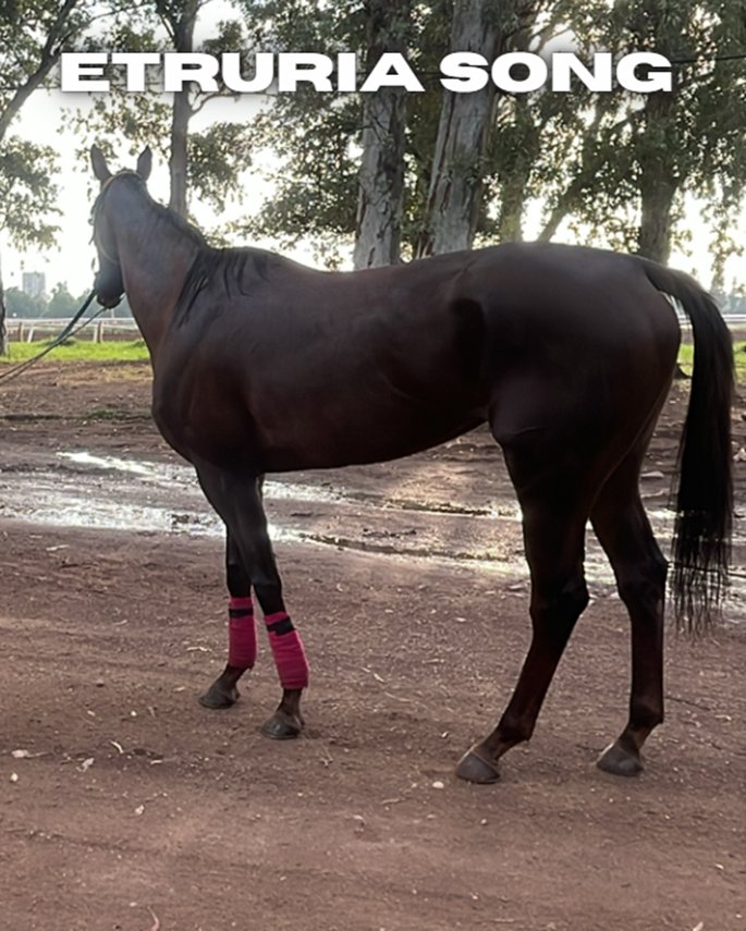 ✨️helado olimpico✨️ (OPA) tweet media