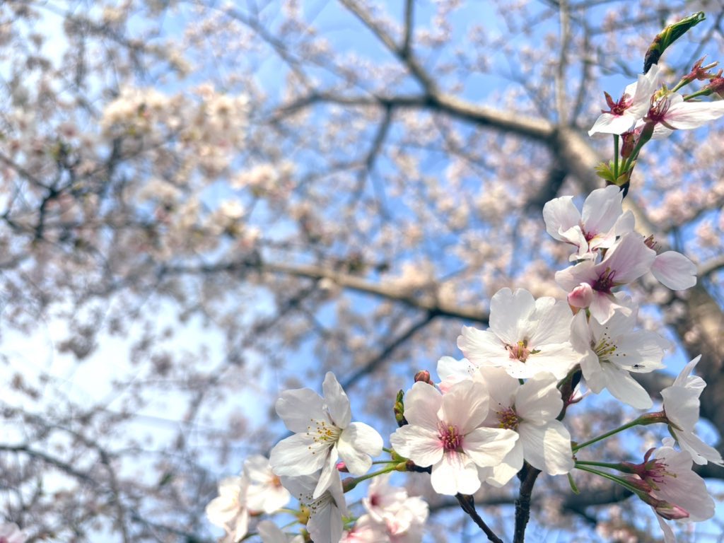 4/3(金) OPEN
10:00-15:00

本日もご来店お待ちしてます◯