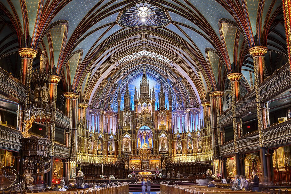 The New Columbia Movement tweet media