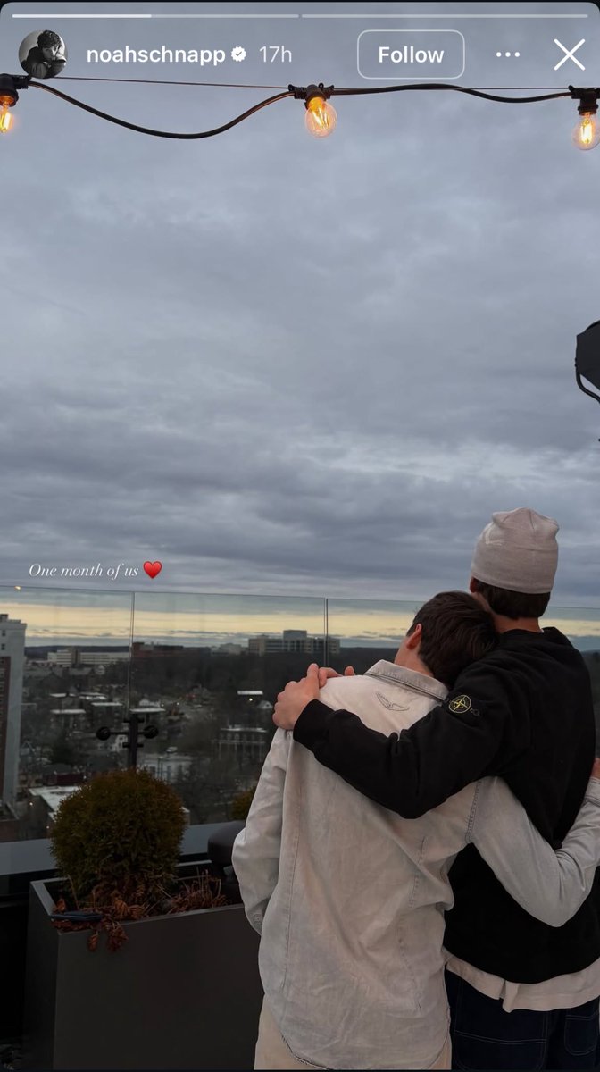 raptoryt tweet media