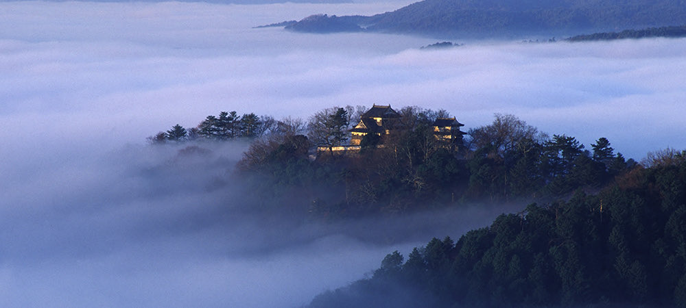 travelroad5's tweet photo. 【岡山県で一度は行きたい絶景まとめ】

・1枚目：備中松山城(高梁市)
…日本で天守が現存する唯一の山城で、雲海に浮かぶ「天空の山城」
・2枚目：倉敷美観地区(倉敷市)
…江戸時代から残る白壁の蔵屋敷と洋風建築が調和した美しい町並み
・3枚目：後楽園(岡山市北区)
…石川の兼六園・茨城の偕楽園と並ぶ「日本三名園」の一つ
・4枚目：黒島ヴィーナスロード(瀬戸内市)
…自然が作り出す神秘的な全長800mの砂の道を歩いて2人で触ると恋愛が成就すると言われる「ハートの石」がある
・岩井滝(鏡野町)
・藤公園(和気町)
・大原美術館(倉敷市)
・蒜山高原(真庭市)
・醍醐桜(真庭市)