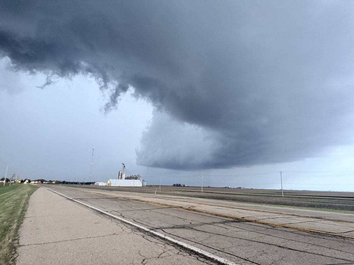 Weather Chicken tweet media