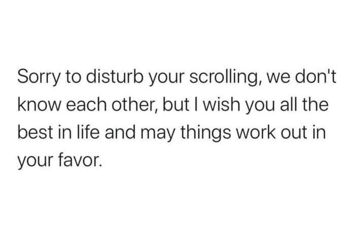 Steve 🇺🇸 tweet media