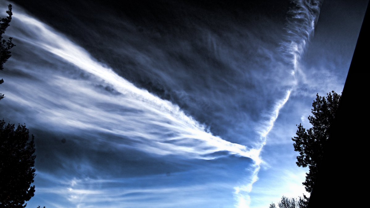 DieDetector's tweet image. '13 Spray Wars catalog from NAM '69&amp;gt;&amp;gt;&amp;gt;N♾W / #SKYWATCHER #AgentOrange #POWMIA