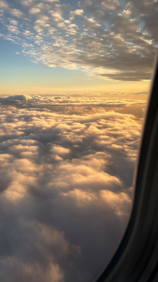 Macy Mills tweet media