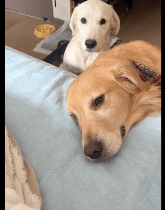 Kayla Raborn Rhoades tweet media