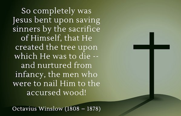 Nick Olla tweet media