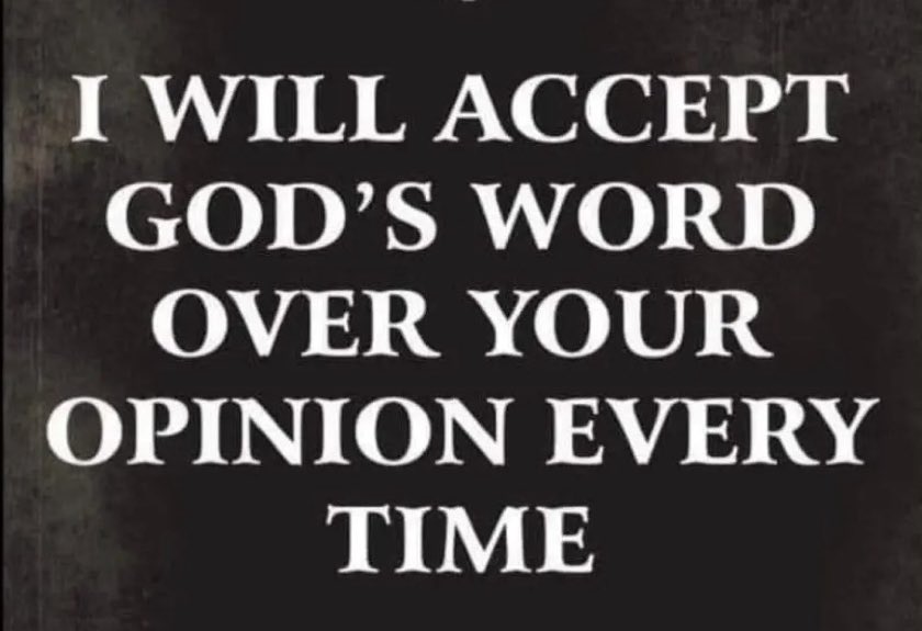 PLAIN To SEE tweet media