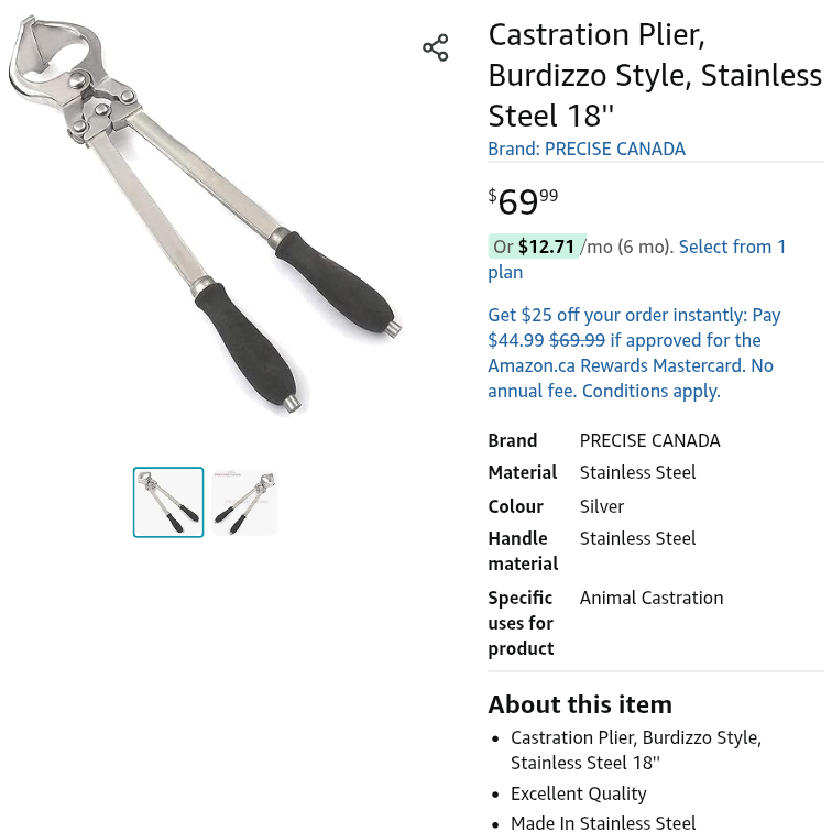 Kafir Kitty tweet media