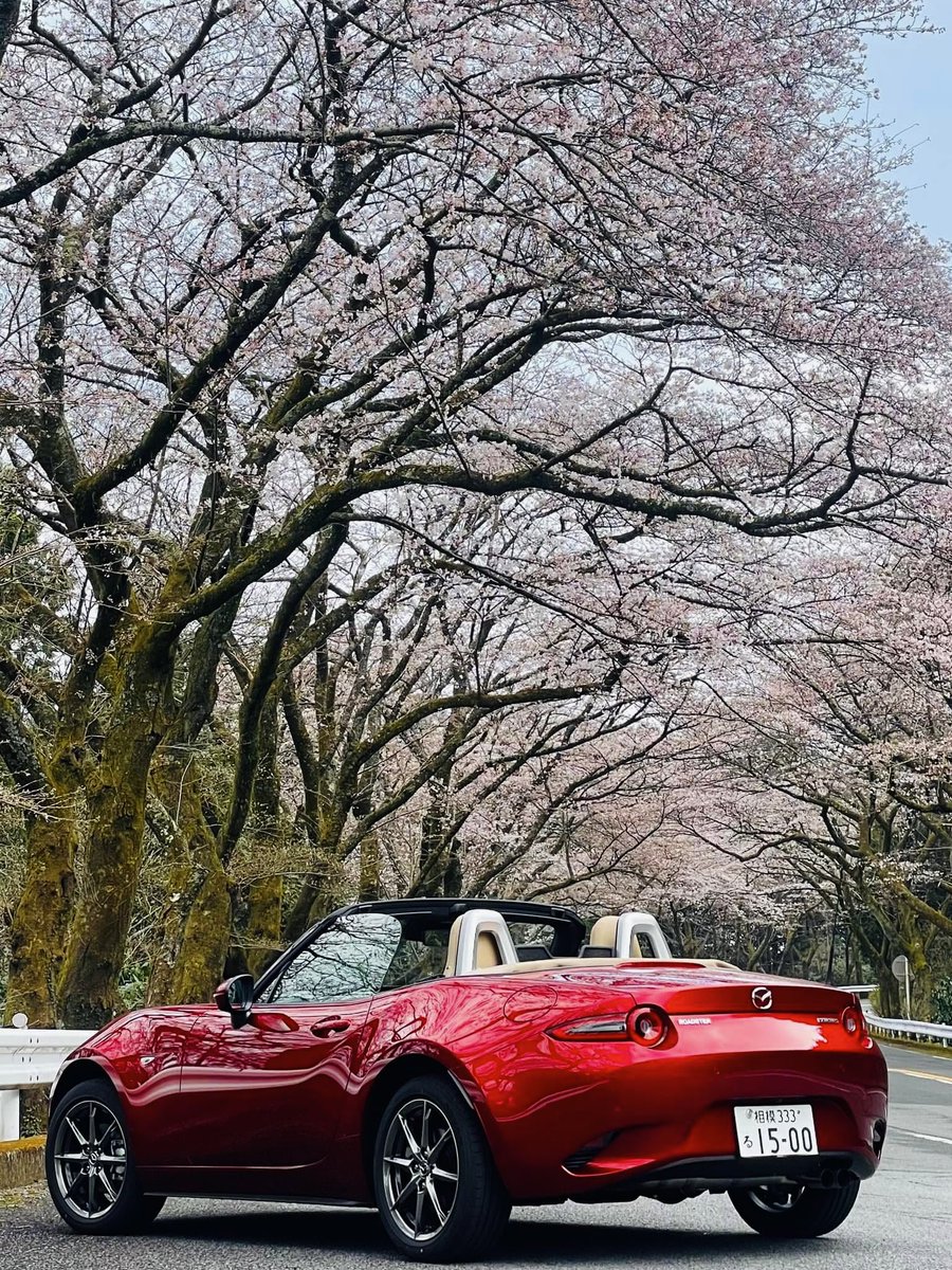 buhibuhi tweet media