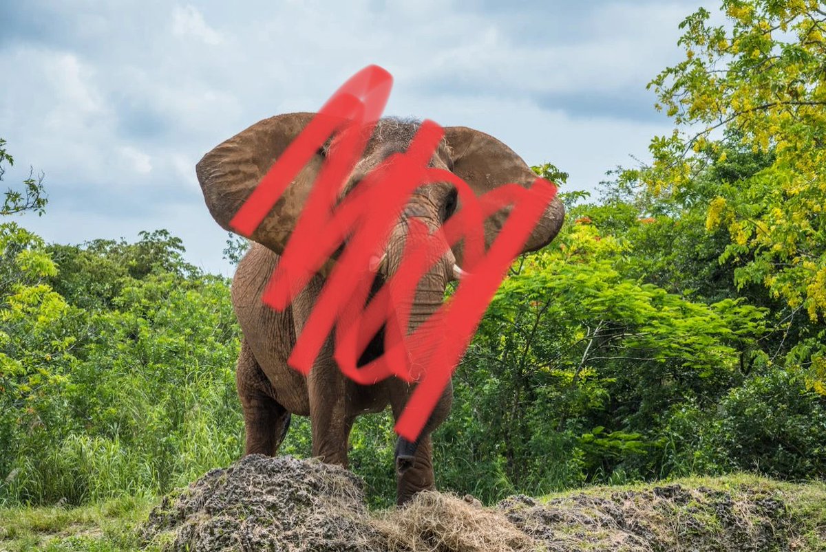 Tom 🇮🇪🎮 tweet media