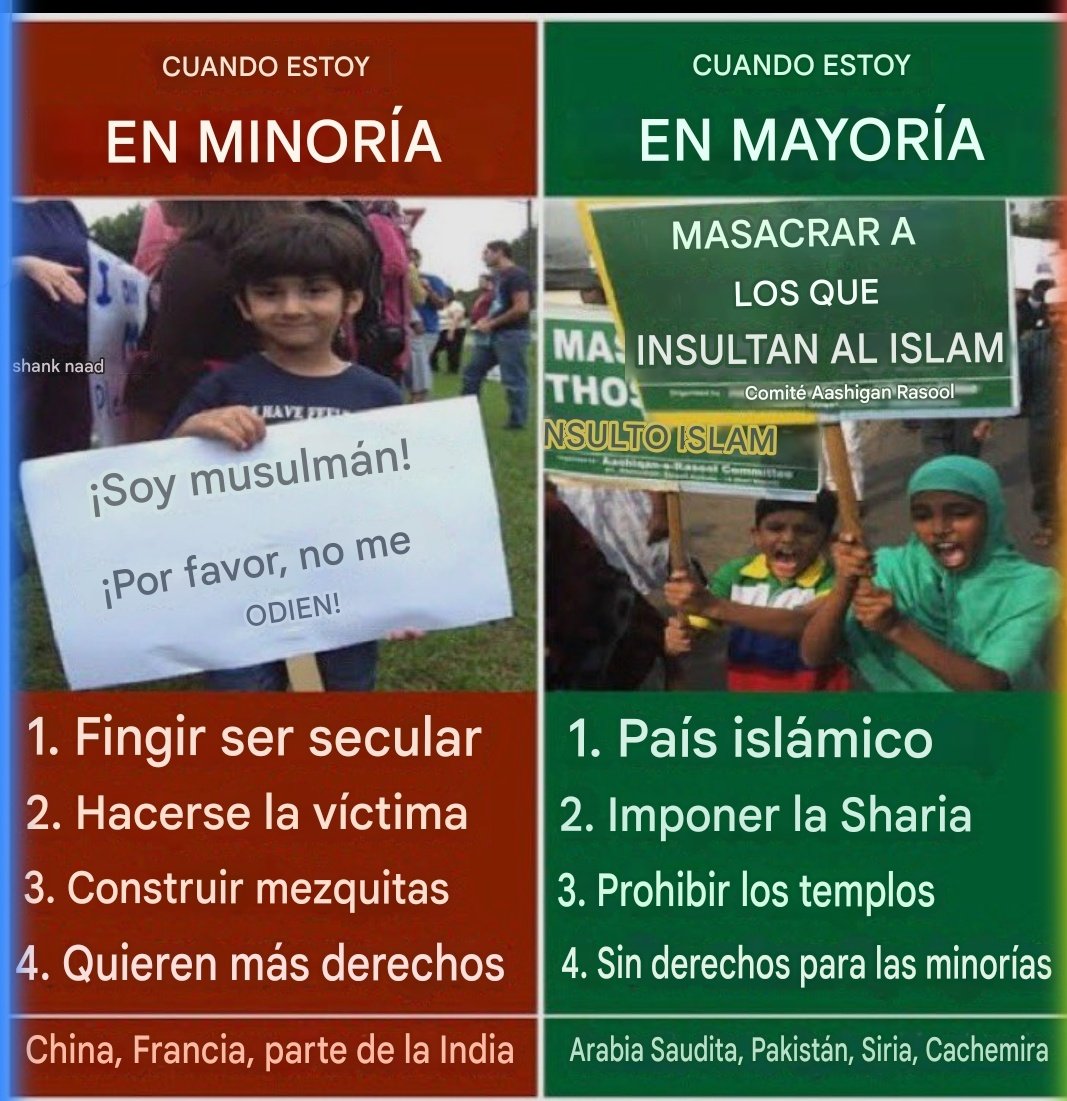 Jordi Coll 💚💚 tweet media