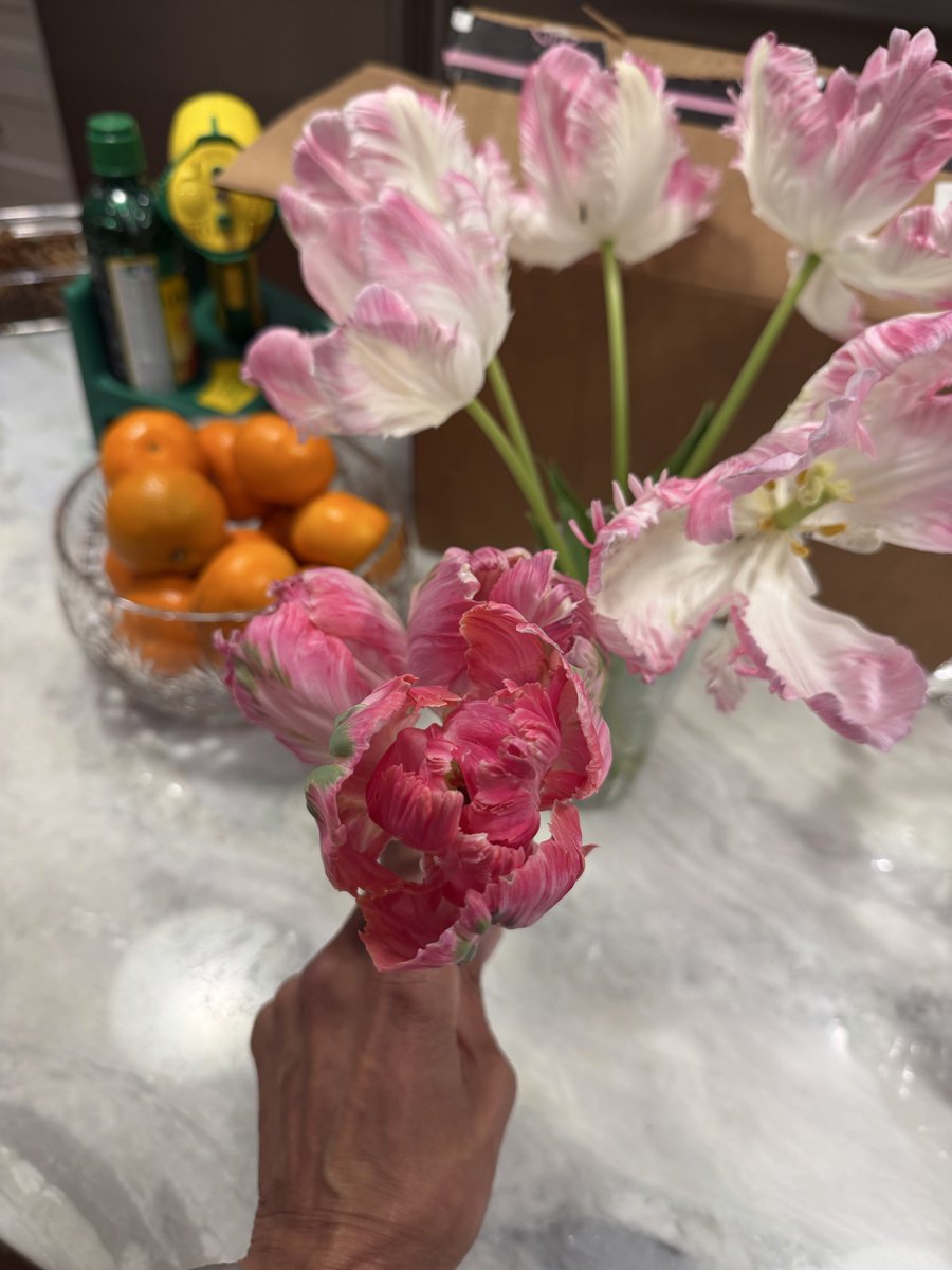 Harmeet K. Dhillon tweet media