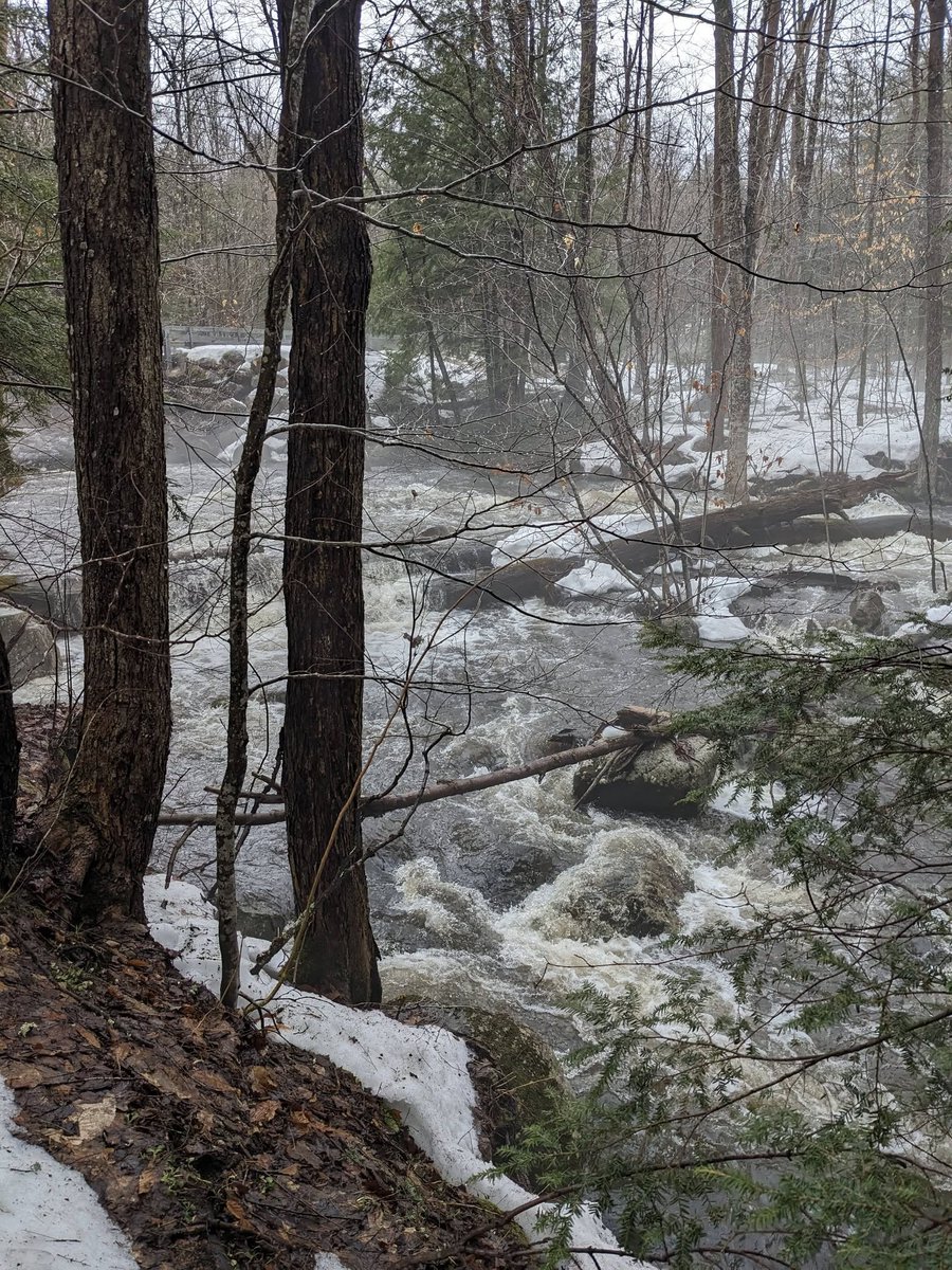 𝙷𝚒𝚌𝚔𝚖𝚊𝚗 tweet media