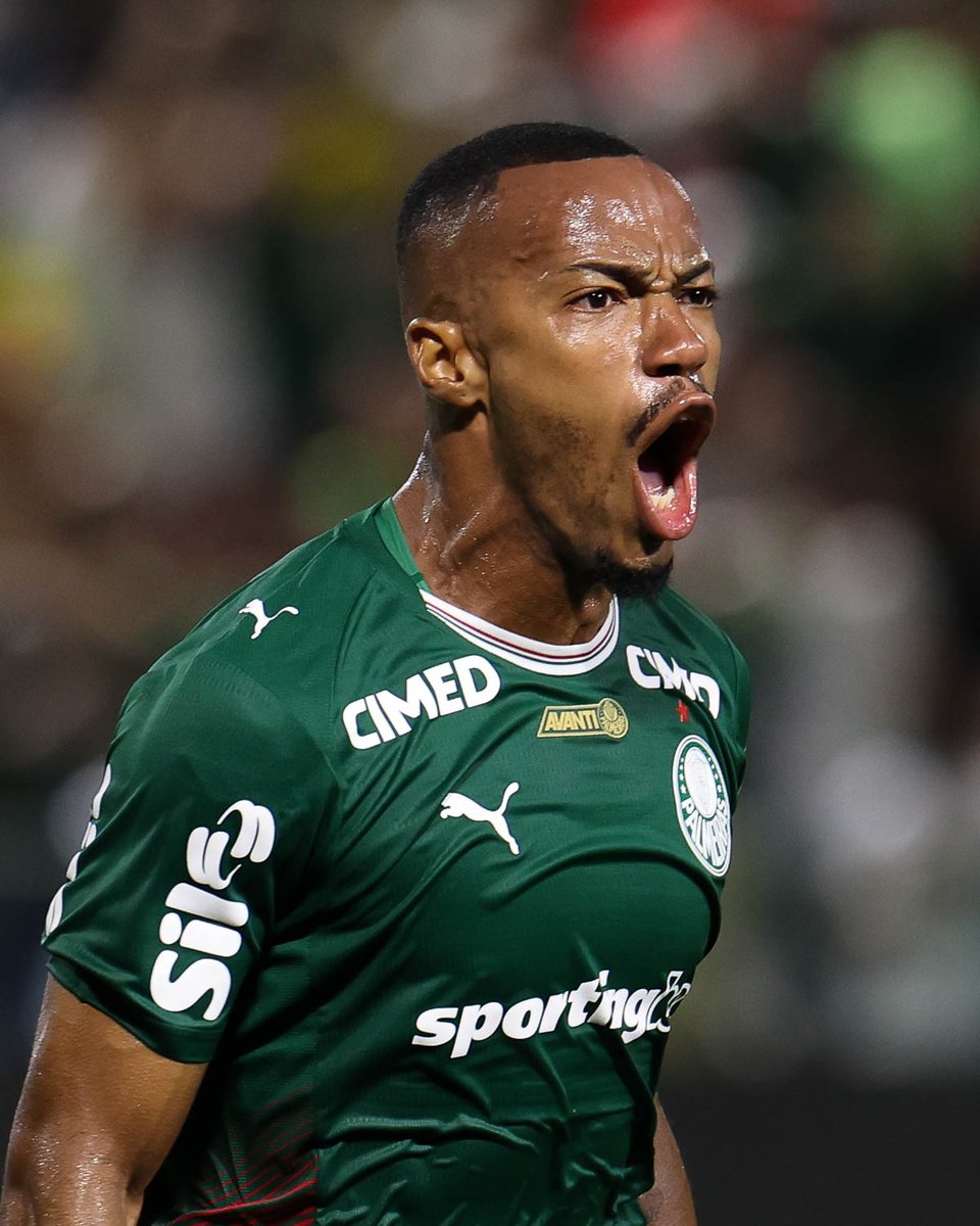 SE Palmeiras tweet media