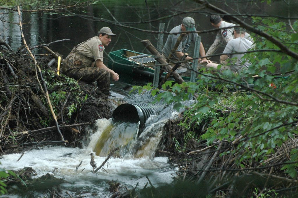 𝙷𝚒𝚌𝚔𝚖𝚊𝚗 tweet media