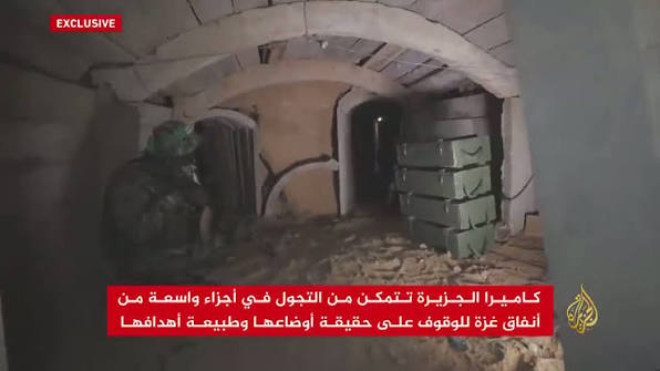 Wombat Of Wisdom 🇮🇱 tweet media