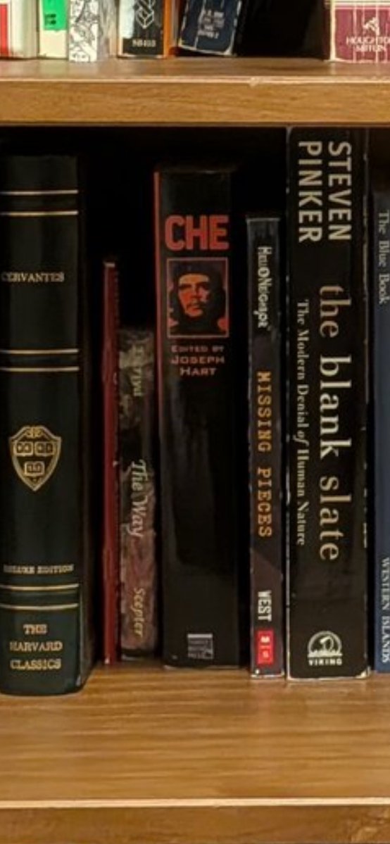 Bryan Lethcoe tweet media