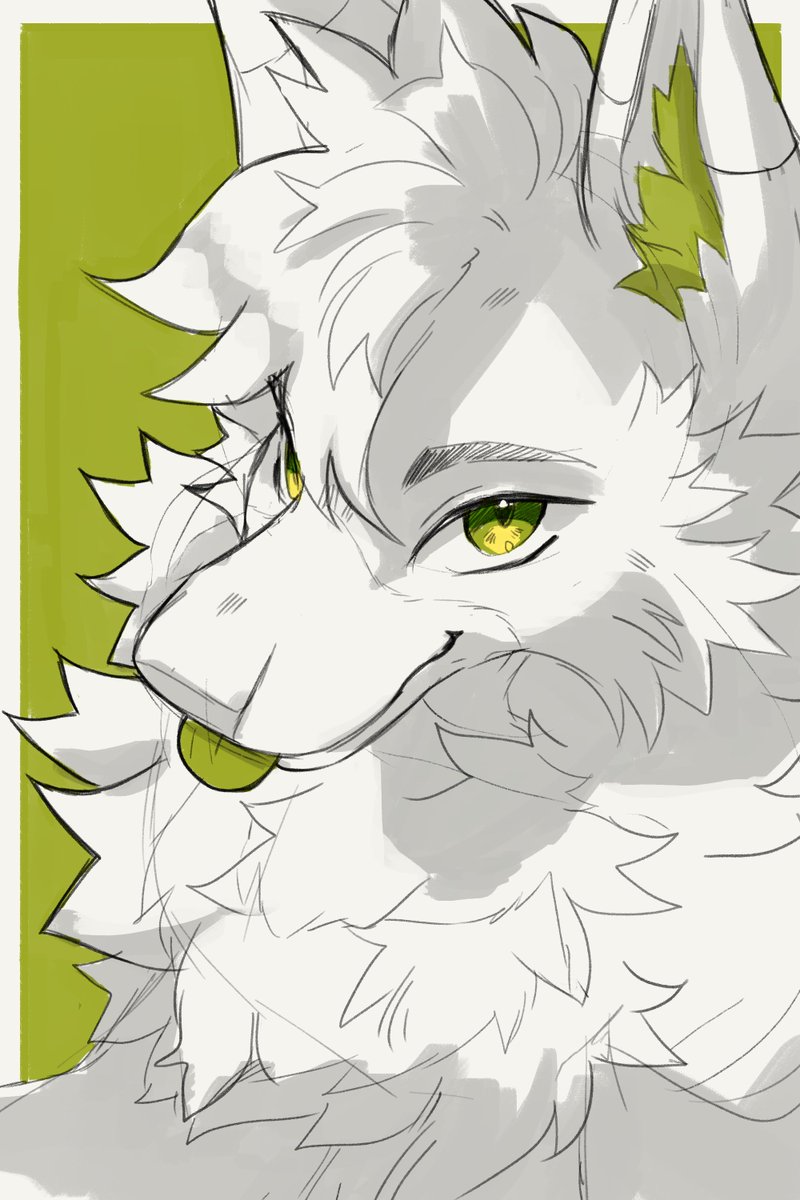 Kiwi🔜FWA dealers D31! tweet media