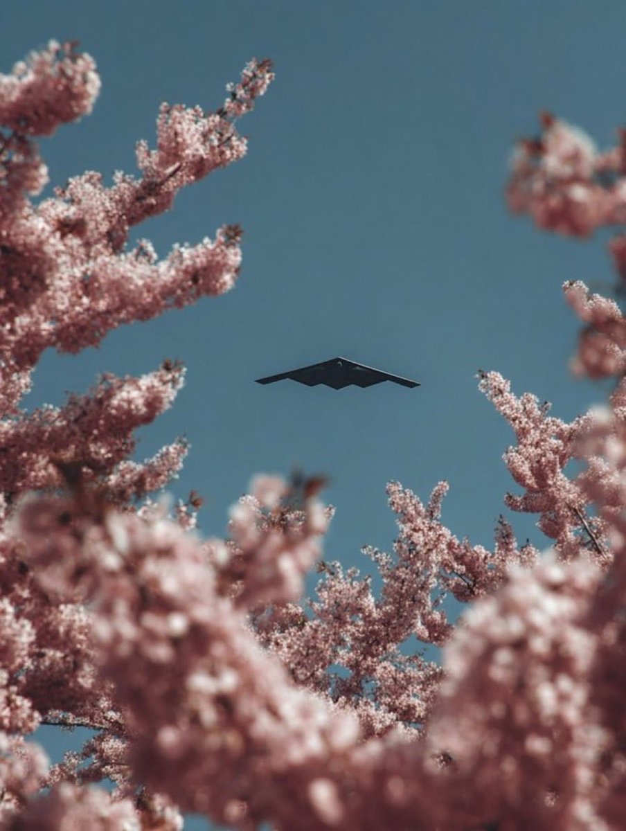 🇺🇸 Based Americana 🇺🇸 tweet media