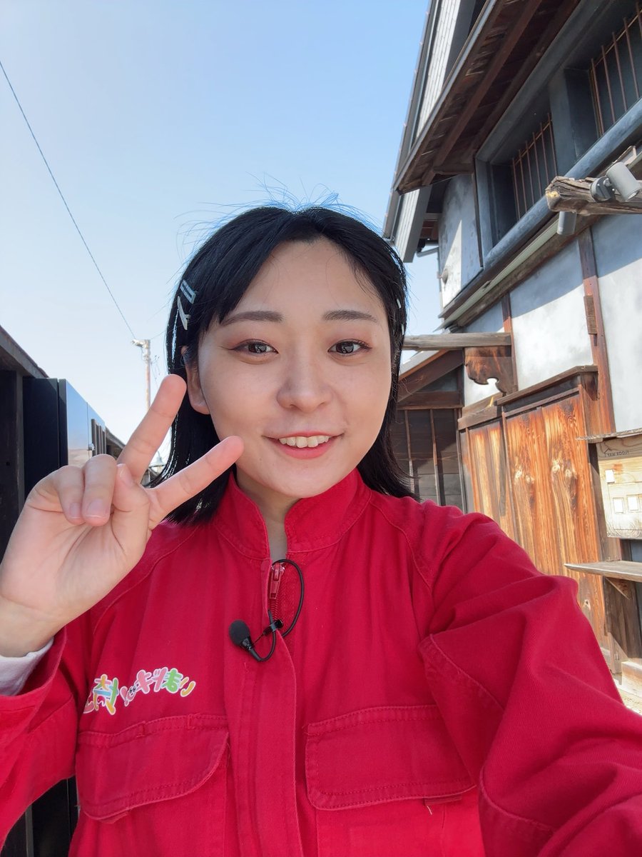 にゃんこスター アンゴラ村長 tweet media