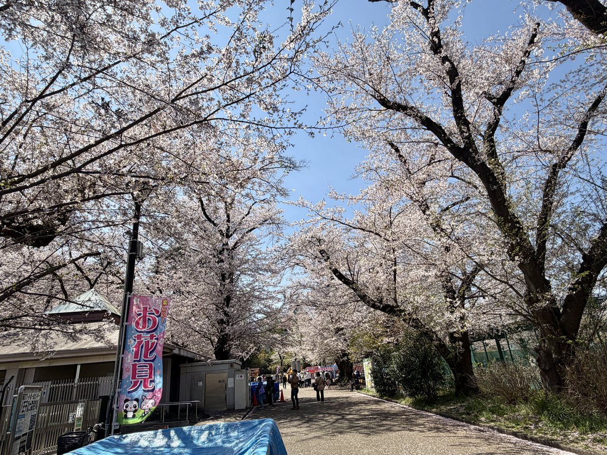 じんぷう tweet media