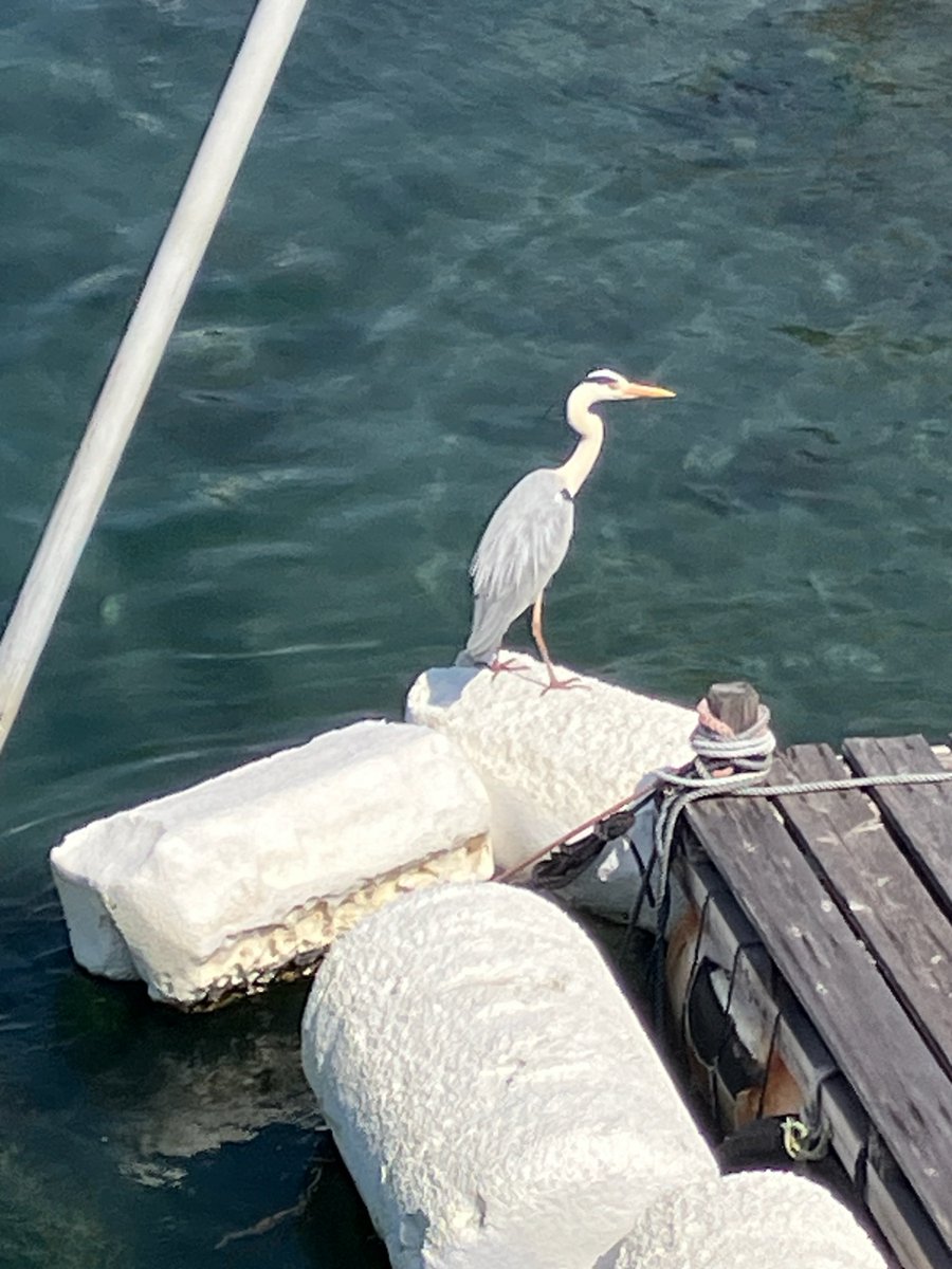 鳴門教育大学(数学) NaruMathチャンネル tweet media