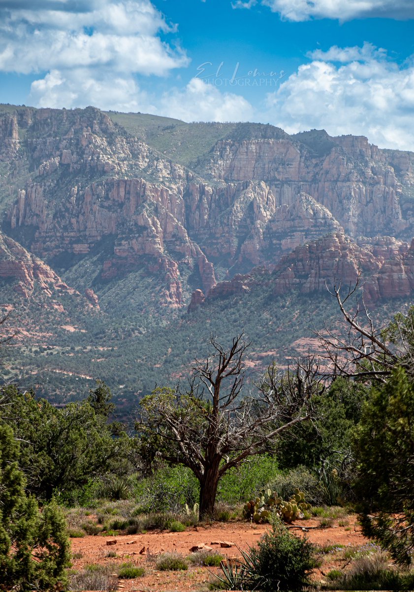 #Sedona #Arizona #America #USA #Travel #Love #Photo #PhotoOftheday #Landscape #RedRocks #Paisaje #MentalHealth #Life #Hiking #Camping #naturelove #View #Panorama #morning #Sunset #Sunrise #Loneliness #Tree #Architecture #Freedom #PlanetEarth #AZ #Coconino #NationalParks #Beauty
