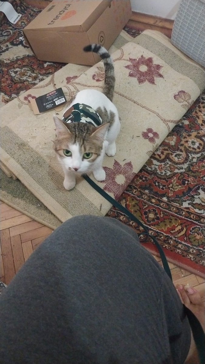 Med life crisis🧚‍♀️🌟 tweet media