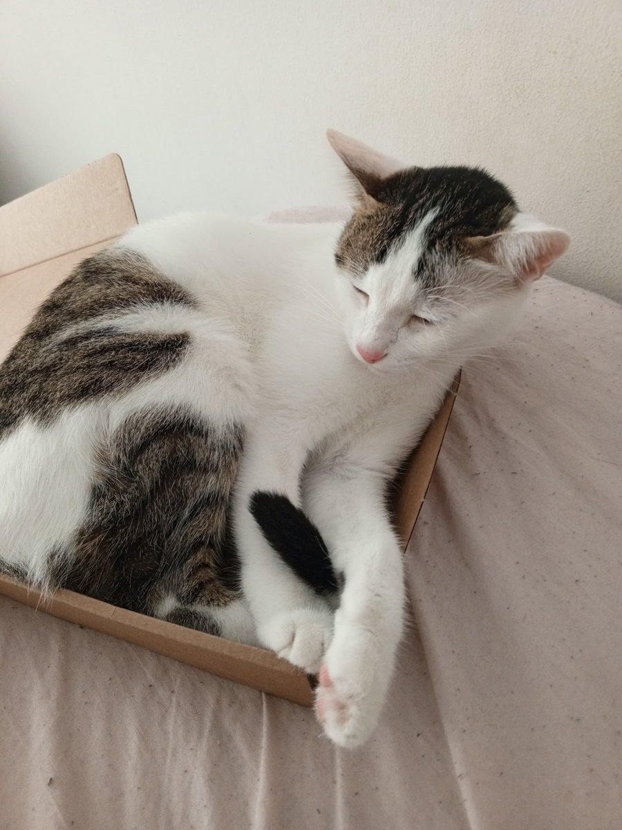 Med life crisis🧚‍♀️🌟 tweet media