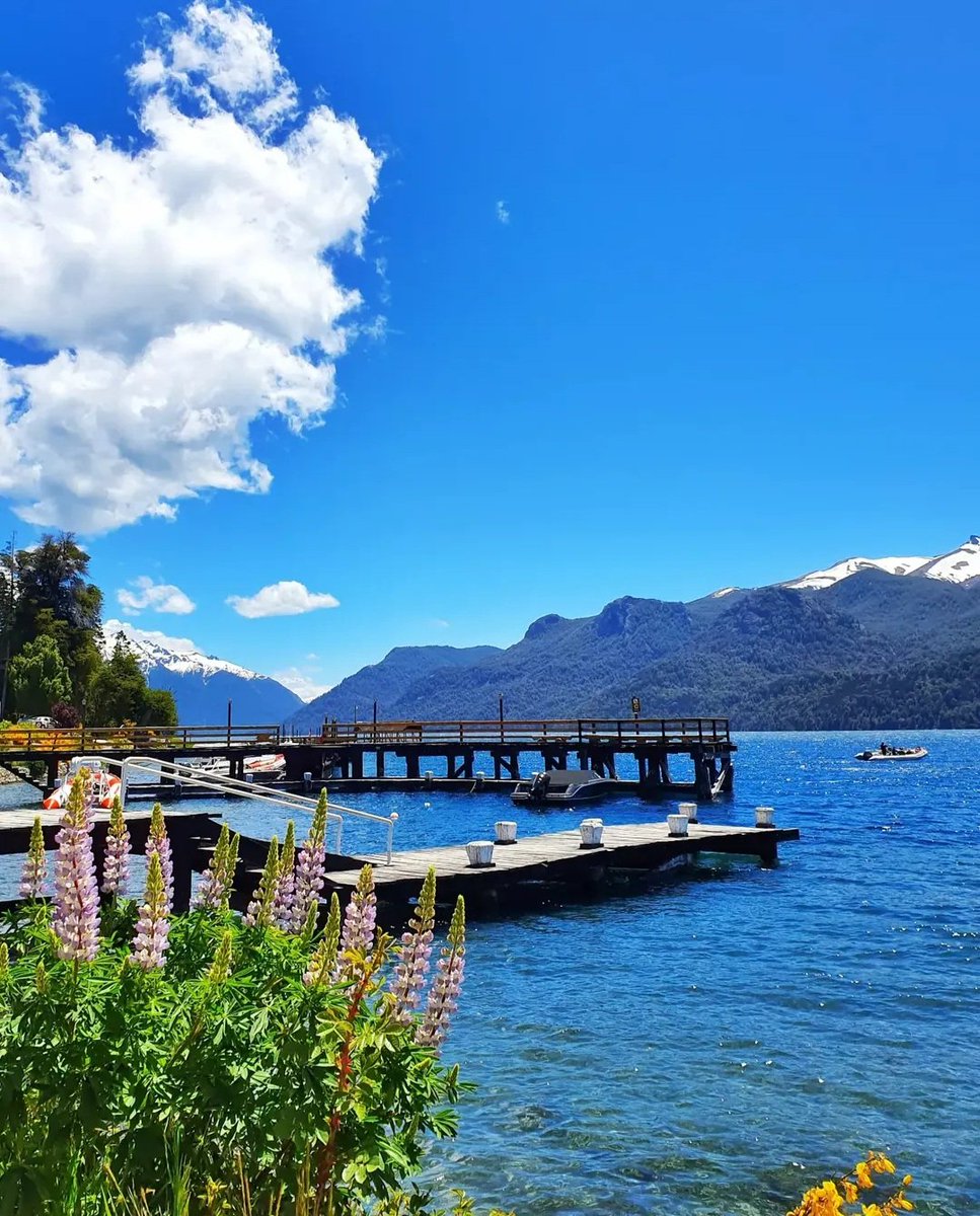 Adrigara tweet media