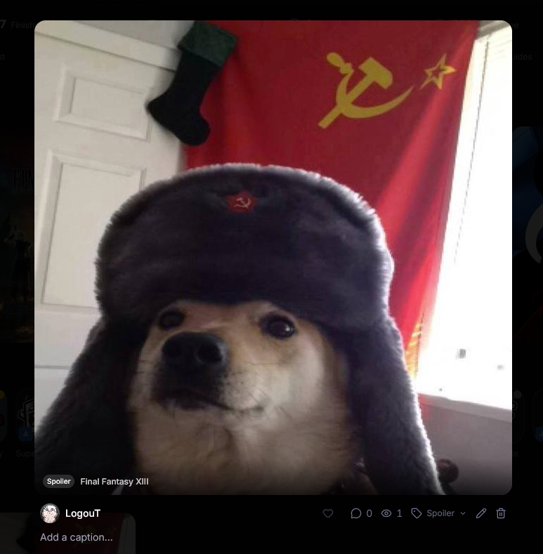 Your Gamer Profile tweet media