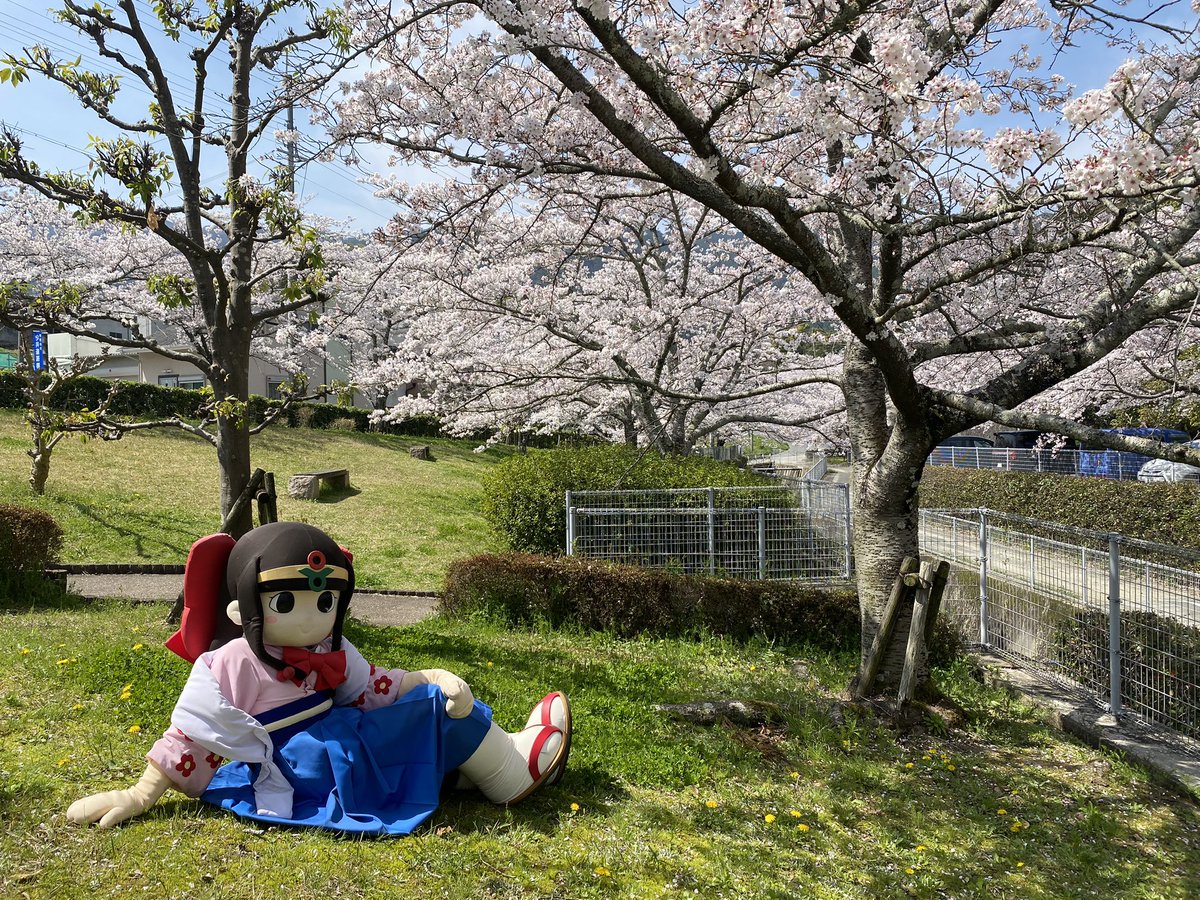 蓮花ちゃん tweet media