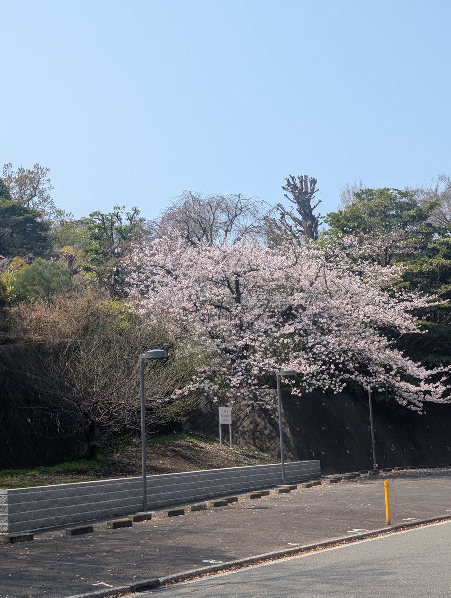 🐂🐃🐄🥩名無し🥩🐄🐃🐂 tweet media