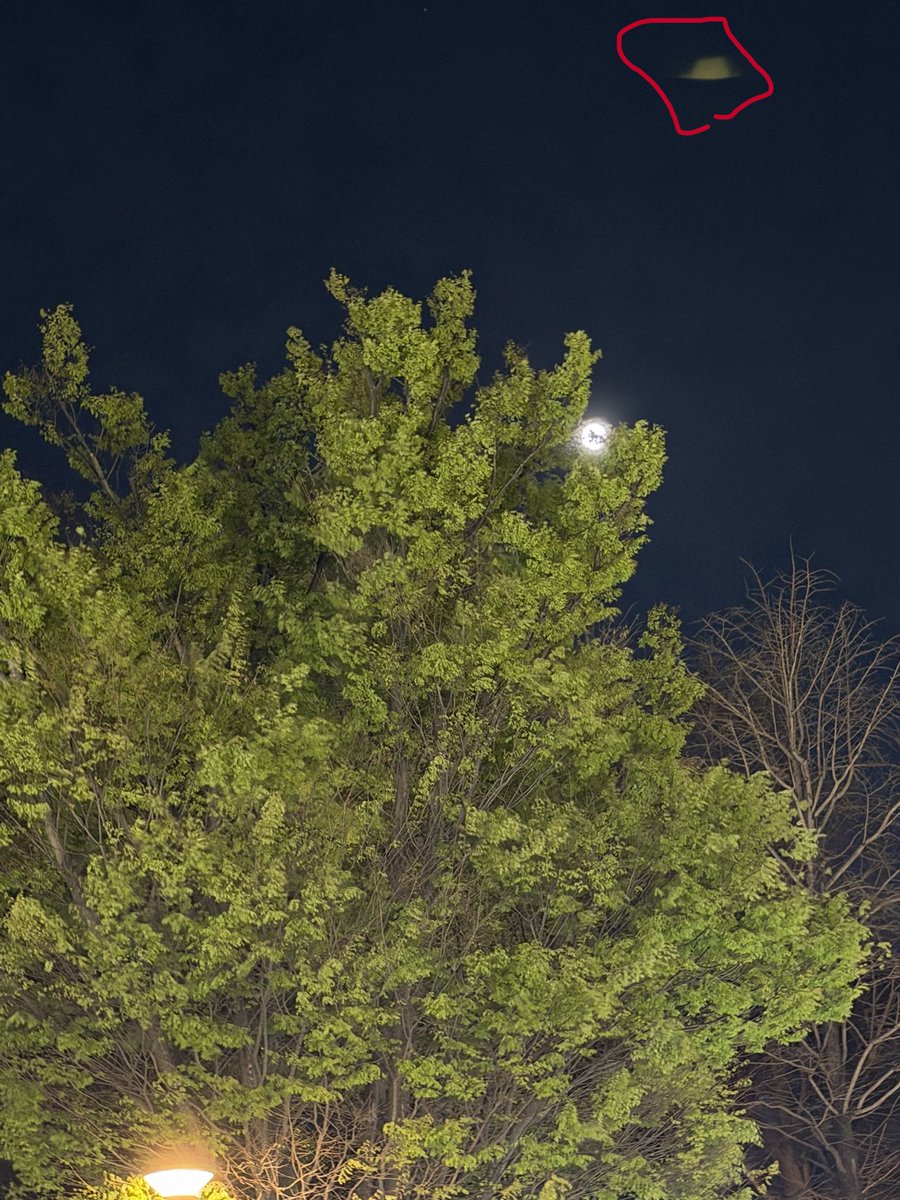 おー79 tweet media