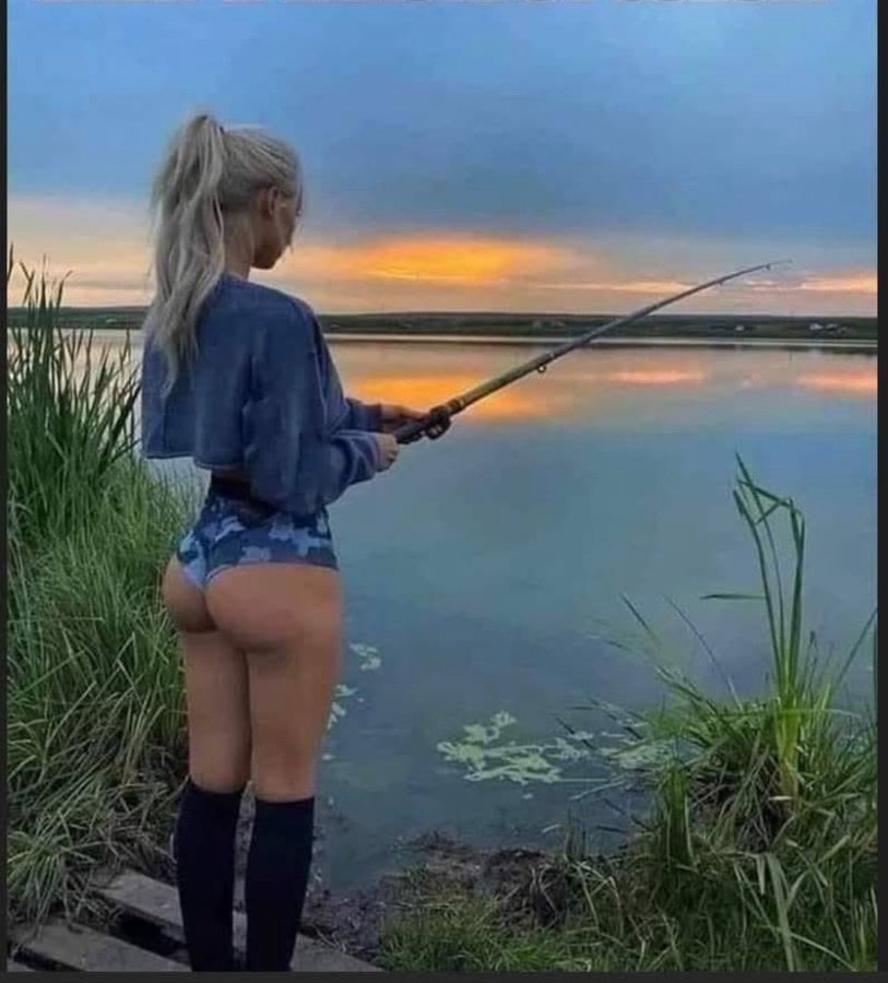 Trumplican 4eva... tweet media