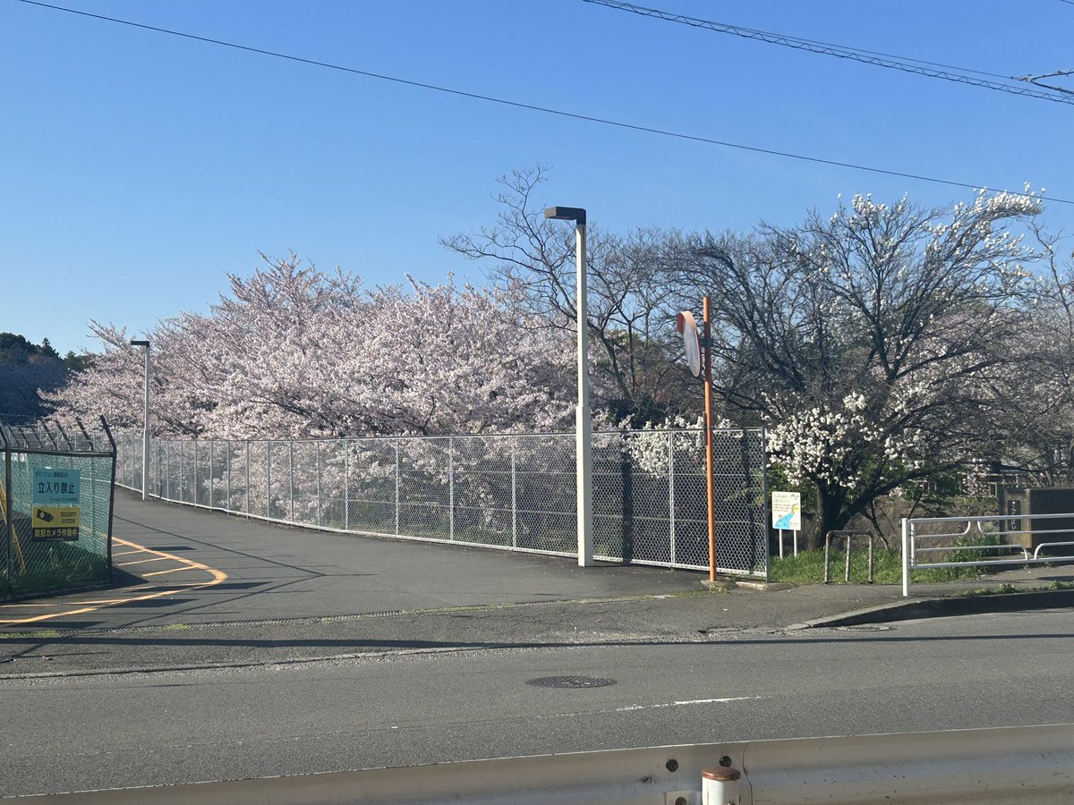 ねる😴 tweet media