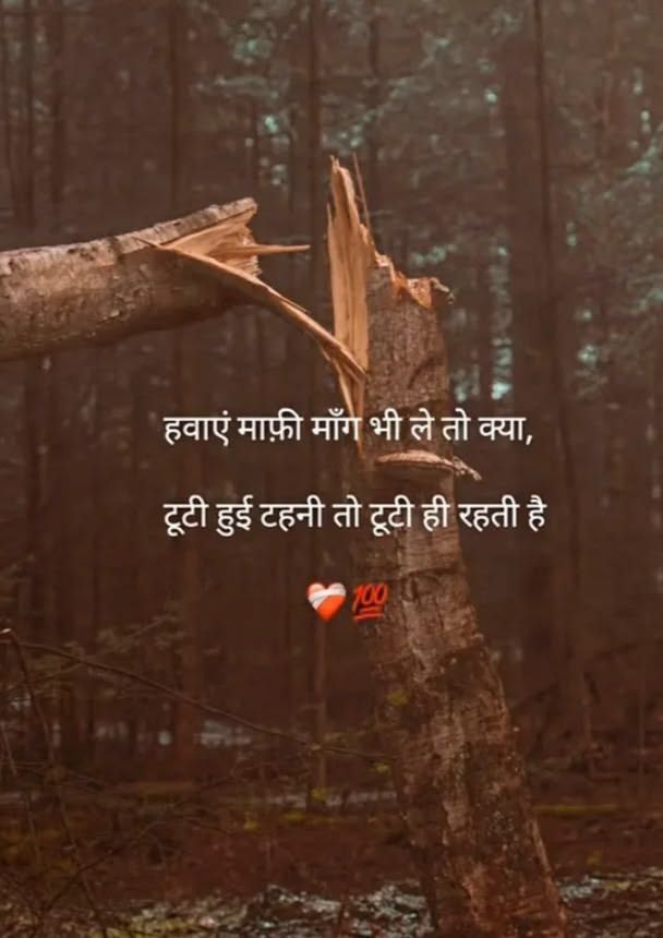 Nawajuddin Siddique (Parody) tweet media