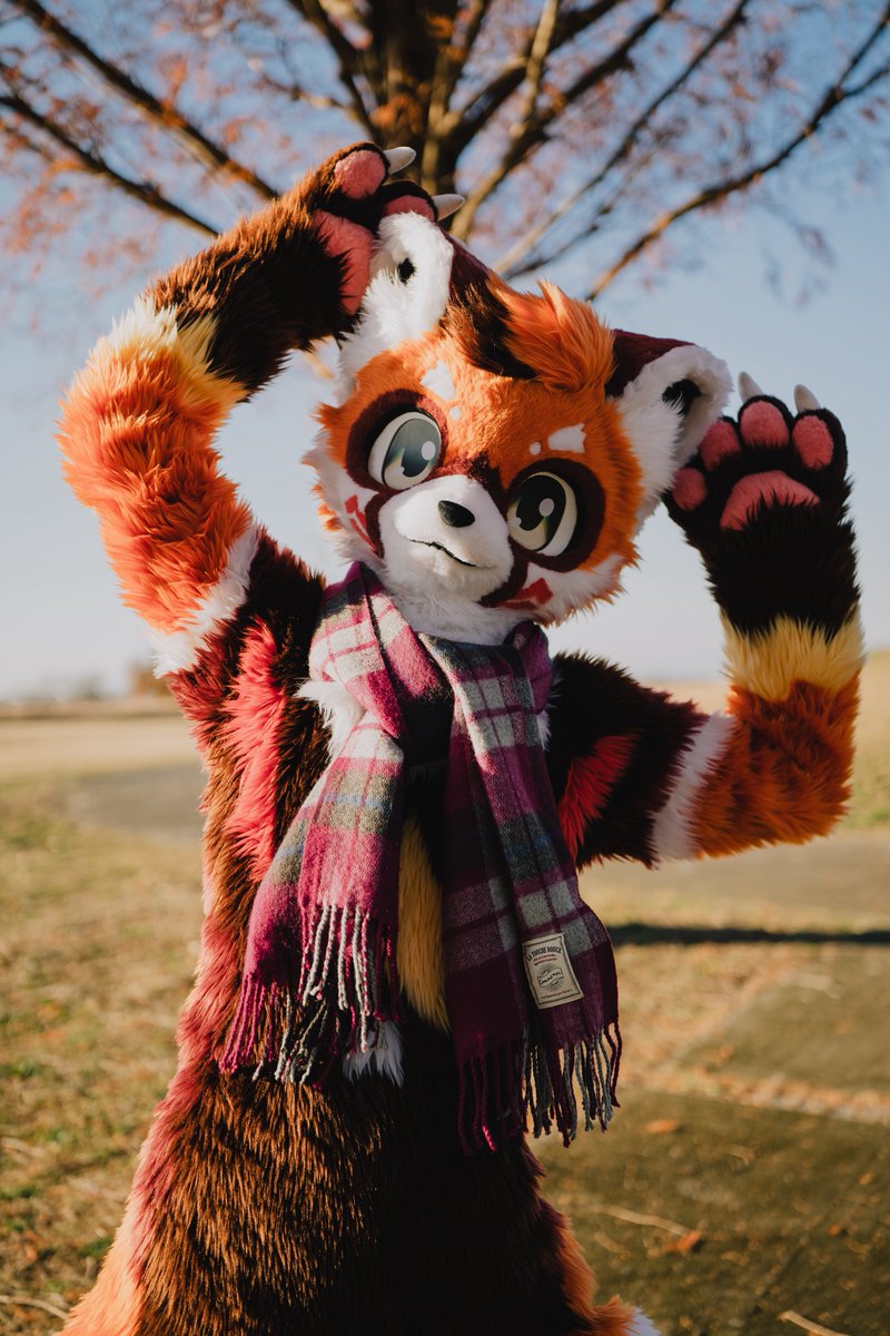 星砳🌟(せいらく) tweet media