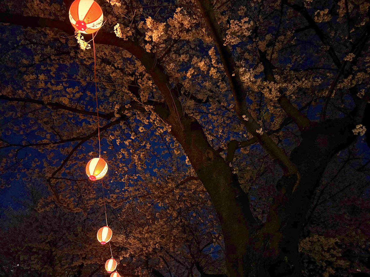 ダンゴさん🌾vivi tweet media