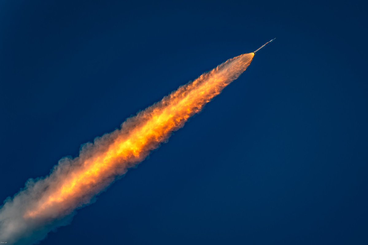 memetic_sisyphus tweet media