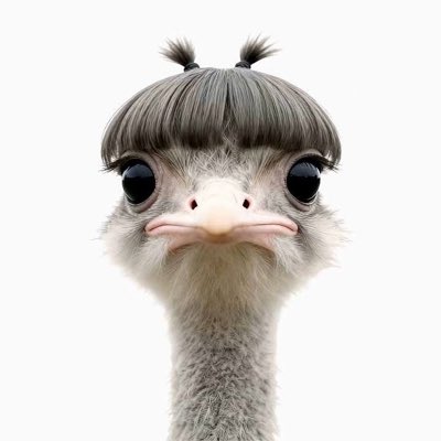 Messppam's tweet photo. #NewProfilePic https://t.co/kqywGBB1nG
