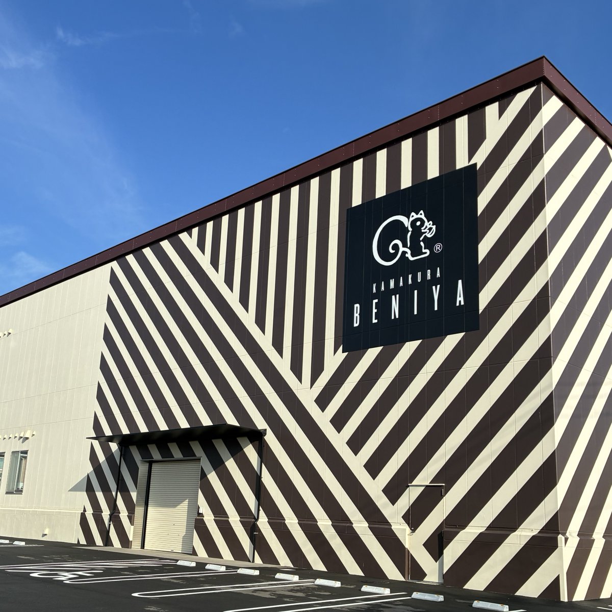 鎌倉紅谷【公式】🐿 tweet media