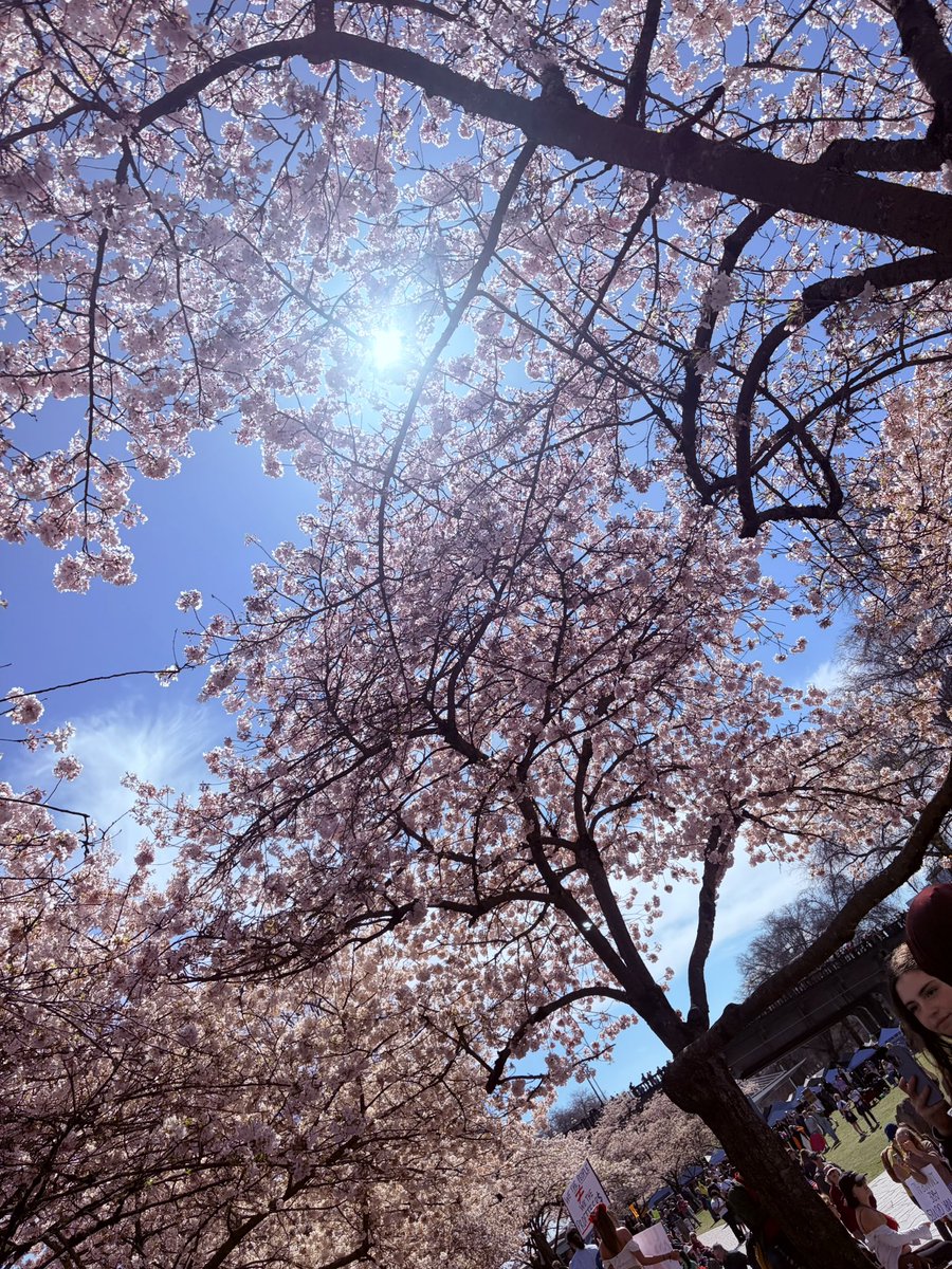 Greg (クレヨン金ちゃん) tweet media