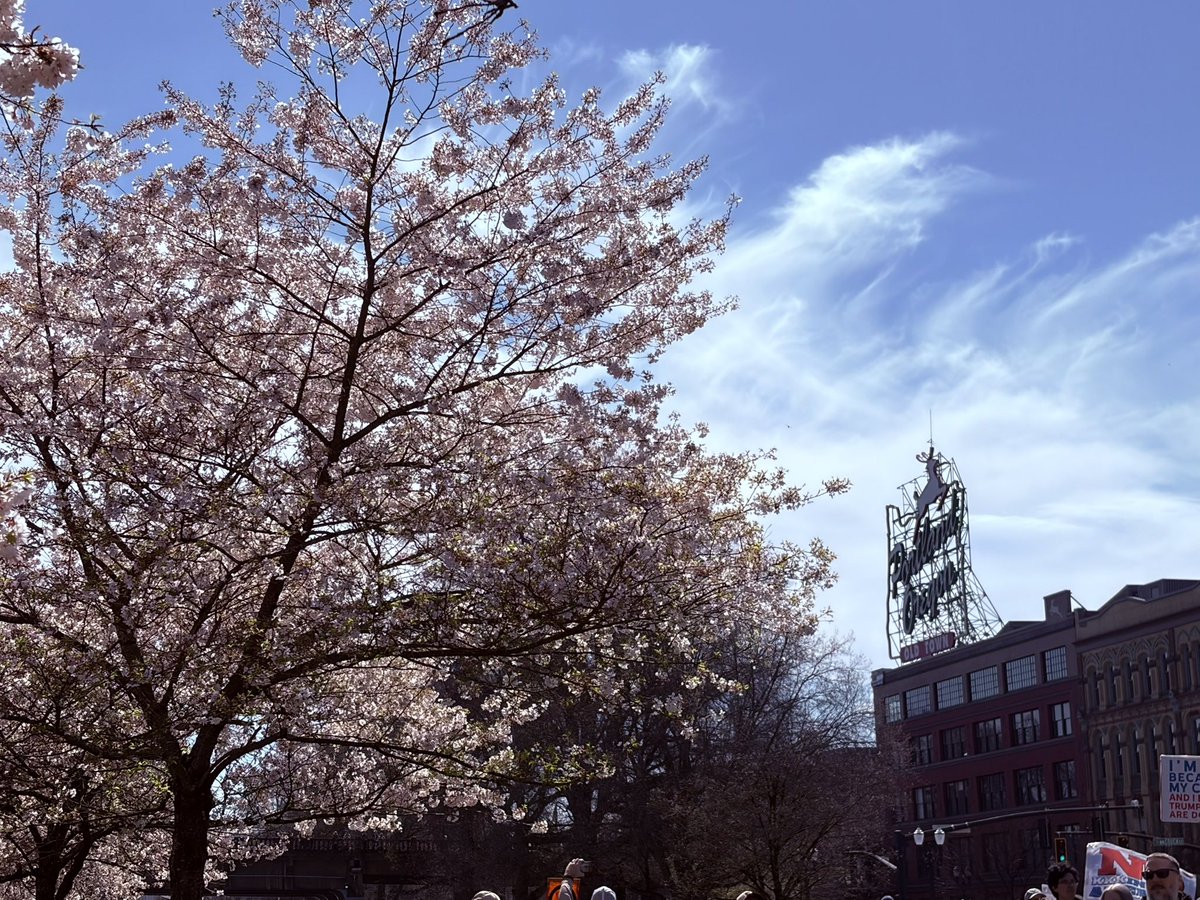 Greg (クレヨン金ちゃん) tweet media