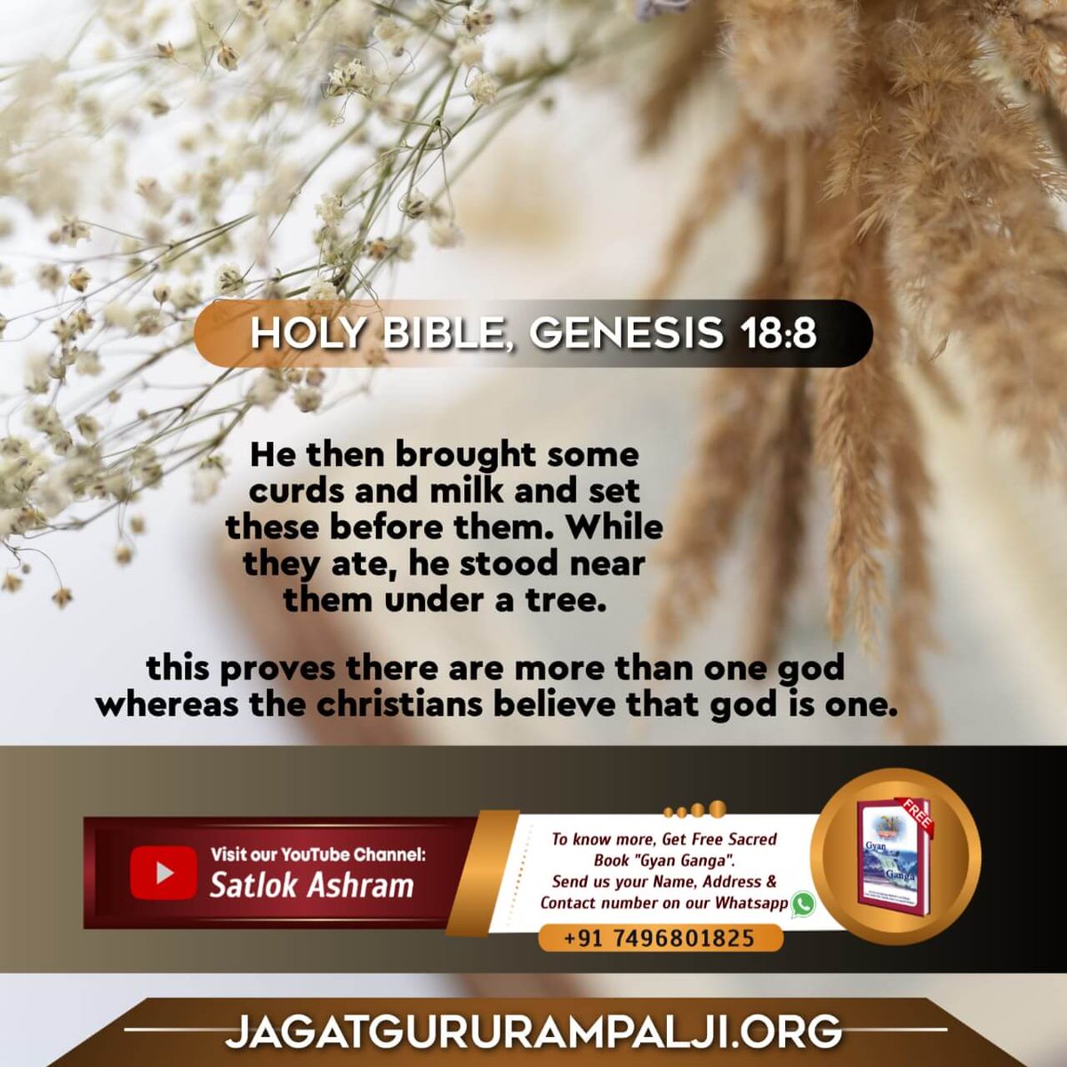 🇮🇳Anita Kumawat🇮🇳 tweet media