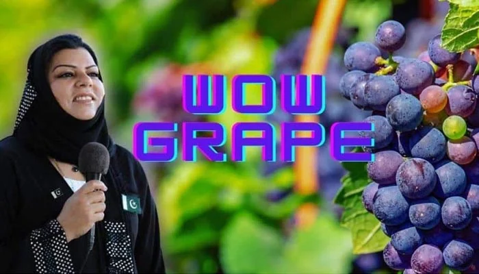 TokenPrinter.fun tweet media